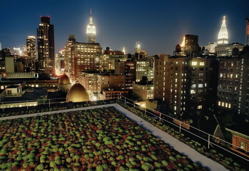 Roof Gardens