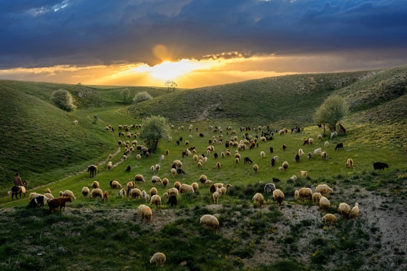 Rule of thirds: 21 photos with excellent composition Rule of thirds: 21 photos with excellent composition