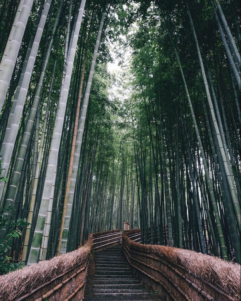 Sabor japonés en las fotos callejeras de Takashi Yasui Sabor japonés en las fotos callejeras de Takashi Yasui