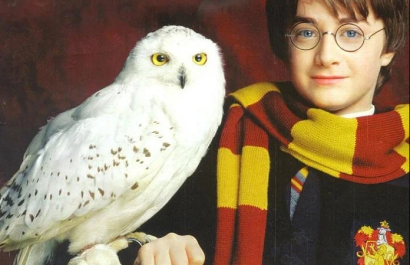 Sacando los pañuelos: las 30 muertes más tristes de personajes de ficción Sacando los pañuelos: las 30 muertes más tristes de personajes de ficción