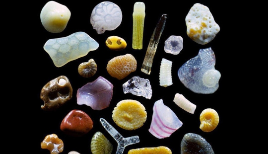 Sand under a microscope