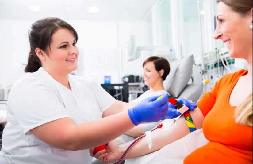 "Sangre dorada" con un factor Rh cero: por qué es saludable y peligroso a la vez "Sangre dorada" con un factor Rh cero: por qué es saludable y peligroso a la vez