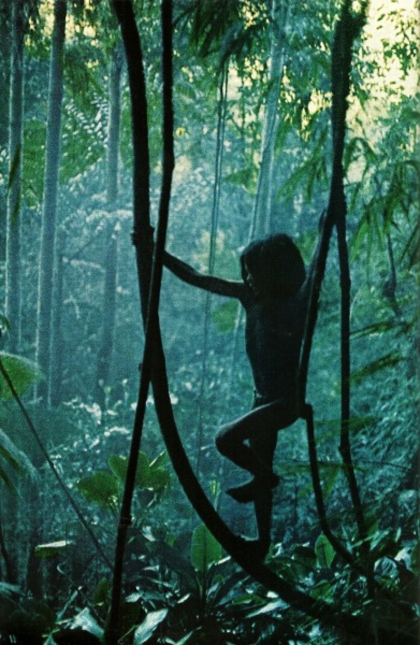 Scam of the Century: A story about a Tribe that Never Existed Scam of the Century: A story about a Tribe that Never Existed