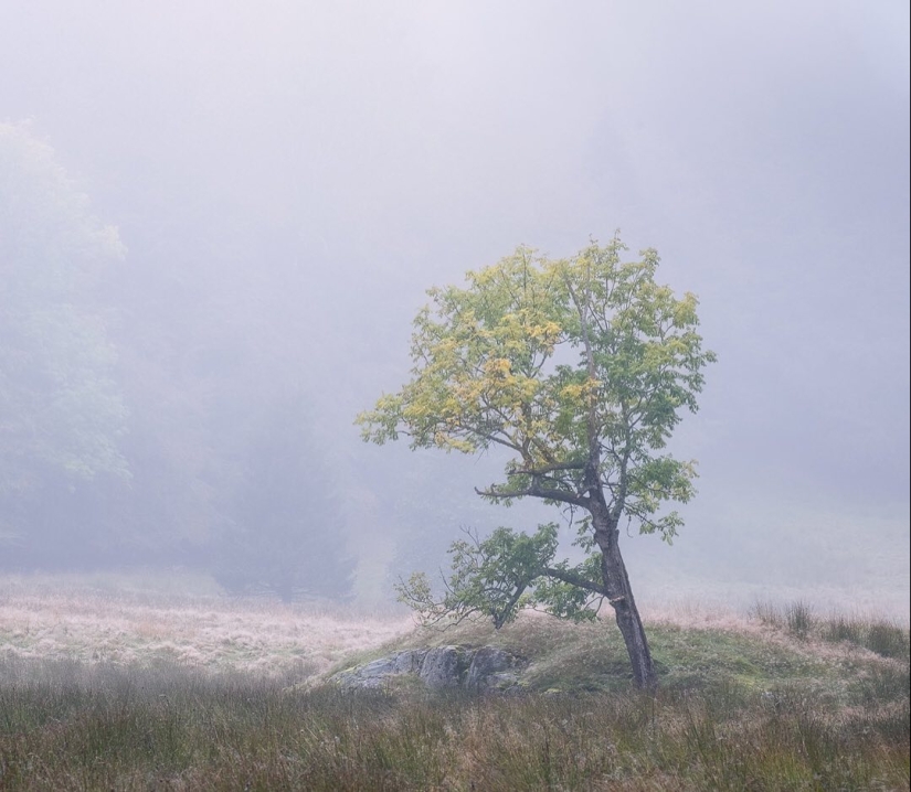 Scandinavian fairy tale: picturesque landscapes of Norway in the lens of Hans Gunnar Aslaksen