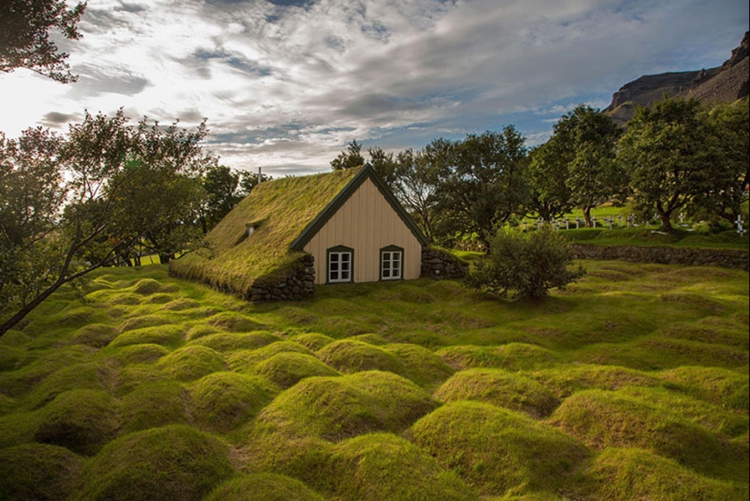 Scandinavian houses with an overgrown roof, in which you want to settle immediately Scandinavian houses with an overgrown roof, in which you want to settle immediately