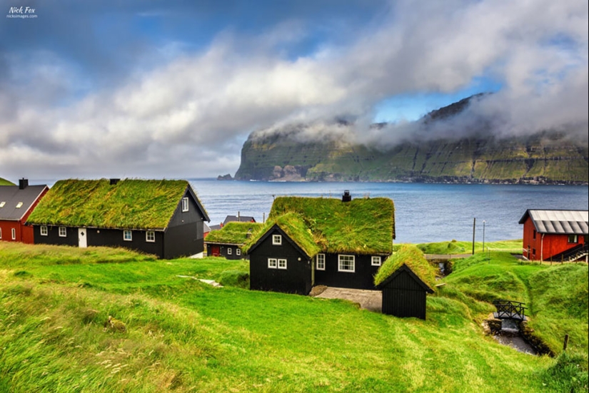 Scandinavian houses with an overgrown roof, in which you want to settle immediately Scandinavian houses with an overgrown roof, in which you want to settle immediately