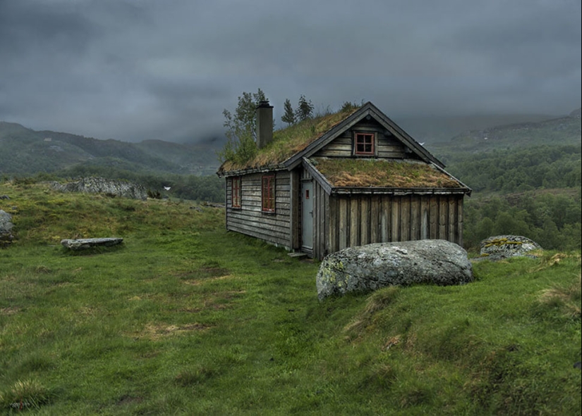 Scandinavian houses with an overgrown roof, in which you want to settle immediately Scandinavian houses with an overgrown roof, in which you want to settle immediately