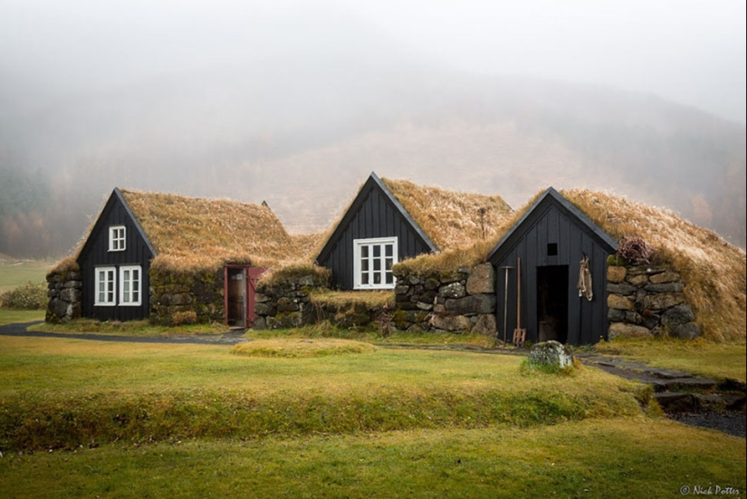 Scandinavian houses with an overgrown roof, in which you want to settle immediately Scandinavian houses with an overgrown roof, in which you want to settle immediately