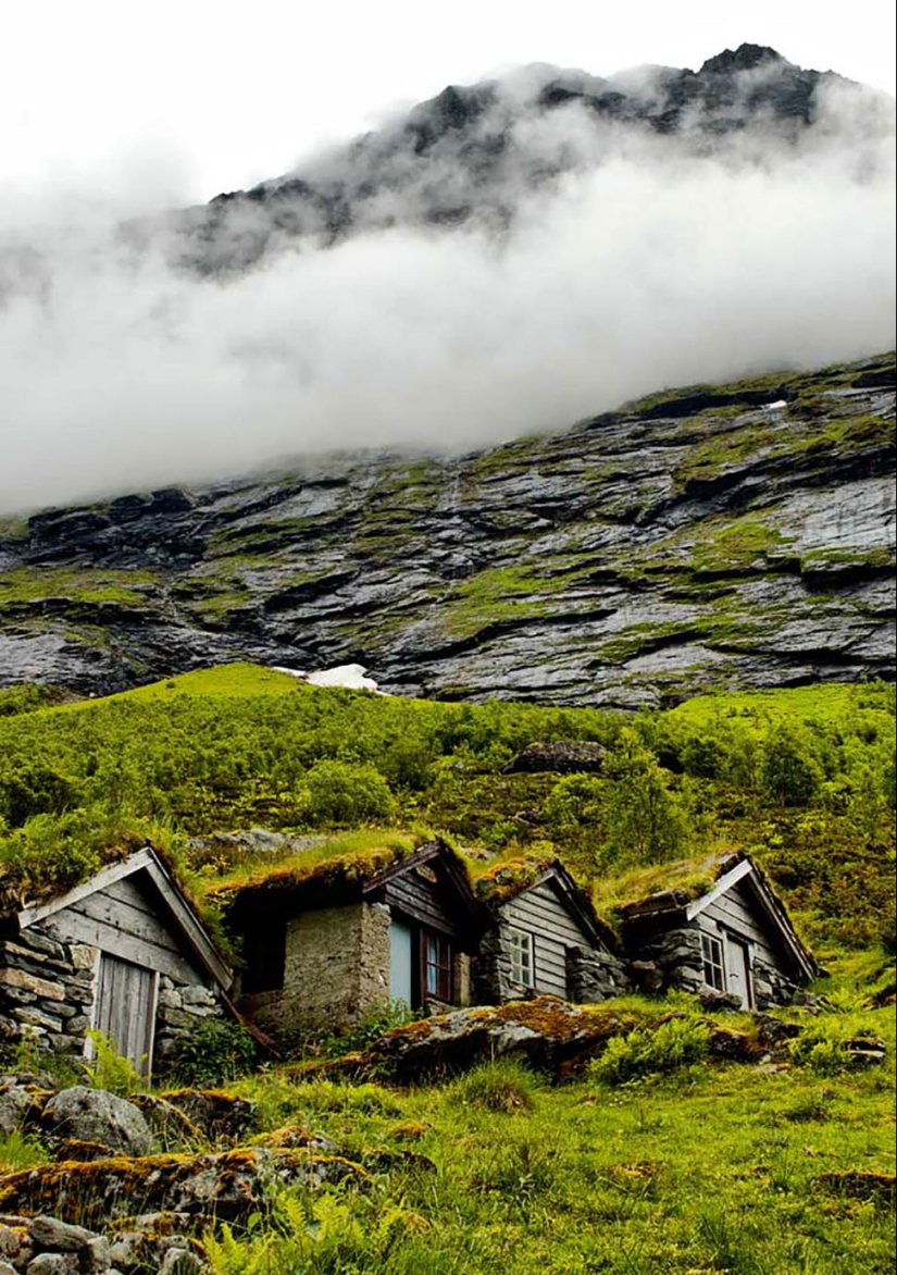 Scandinavian houses with an overgrown roof, in which you want to settle immediately Scandinavian houses with an overgrown roof, in which you want to settle immediately