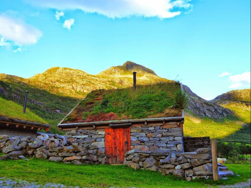 Scandinavian houses with an overgrown roof, in which you want to settle immediately Scandinavian houses with an overgrown roof, in which you want to settle immediately
