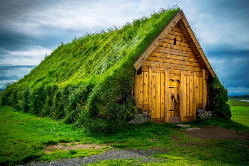 Scandinavian houses with an overgrown roof, in which you want to settle immediately Scandinavian houses with an overgrown roof, in which you want to settle immediately