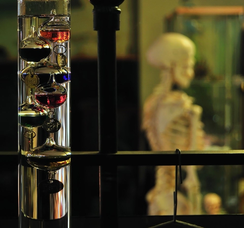 Scientific Beauty: Galileo&#39;s Thermometer