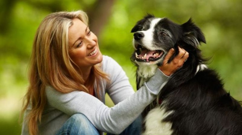 Scientists Explain Why You Should Wash Your Hands After Any Contact With Animals
