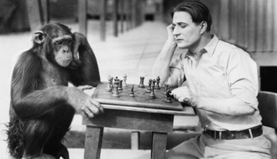 Scientists from the USA have found a new, sixth taste