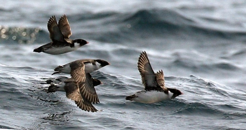 Scientists have explained why now 30-year-old women look younger than their peers in the past