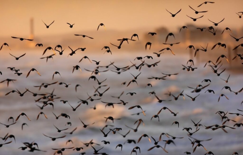 Scientists have explained why now 30-year-old women look younger than their peers in the past