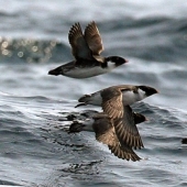 Scientists have explained the terrible cases of spontaneous combustion of people