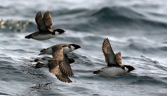 Scientists have explained why now 30-year-old women look younger than their peers in the past