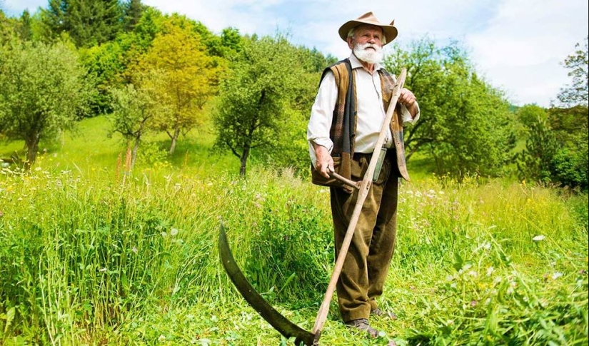 Scientists told what death smells like Scientists told what death smells like