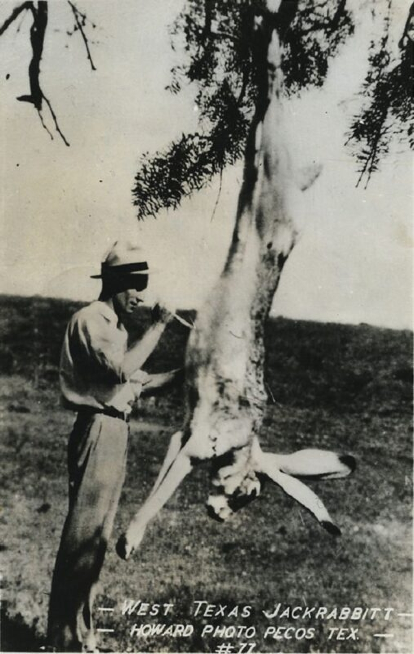 Se parecía a las fotos procesadas antes de la era del Photoshop Se parecía a las fotos procesadas antes de la era del Photoshop