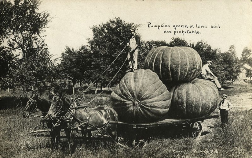 Se parecía a las fotos procesadas antes de la era del Photoshop Se parecía a las fotos procesadas antes de la era del Photoshop