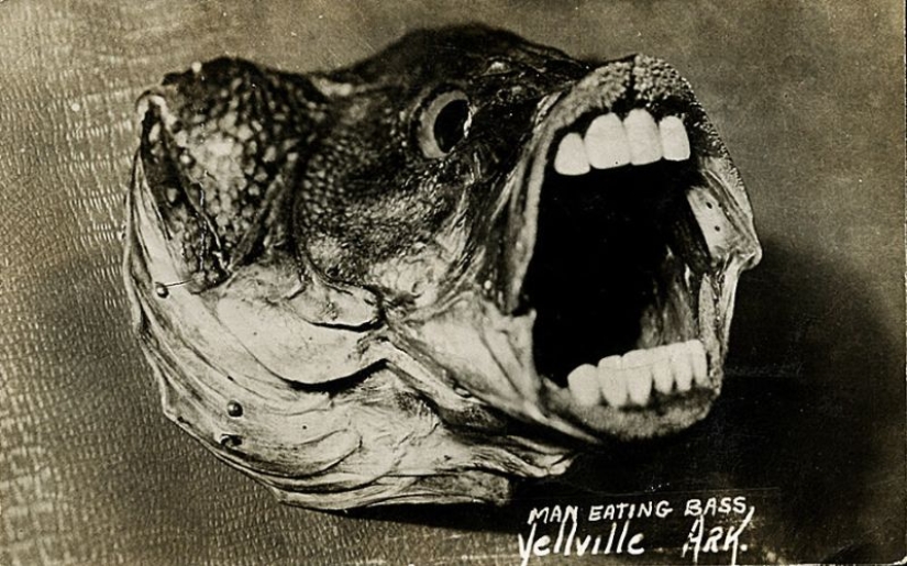 Se parecía a las fotos procesadas antes de la era del Photoshop Se parecía a las fotos procesadas antes de la era del Photoshop