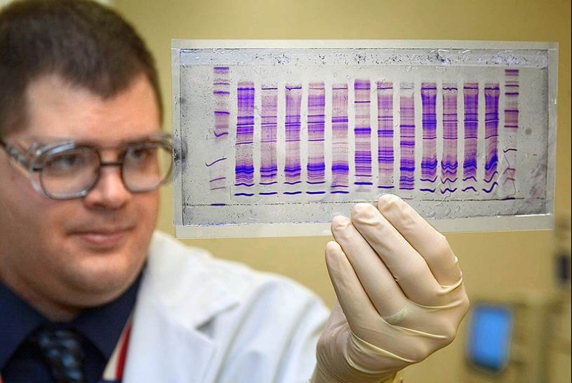 Secrets, betrayals and broken destinies: the story of Yara Gambirasio that shook Italy Secrets, betrayals and broken destinies: the story of Yara Gambirasio that shook Italy