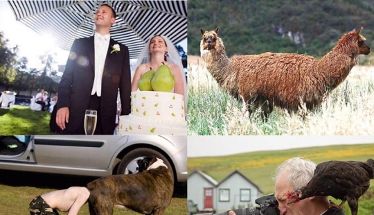 Seize the moment Seize the moment