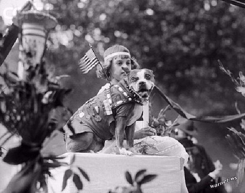 Sergeant Stubby — heroic dog of the First World War Sergeant Stubby — heroic dog of the First World War
