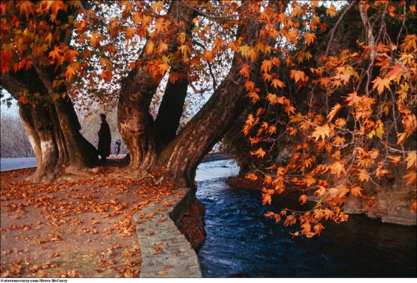 Serie acuática de Steve McCurry