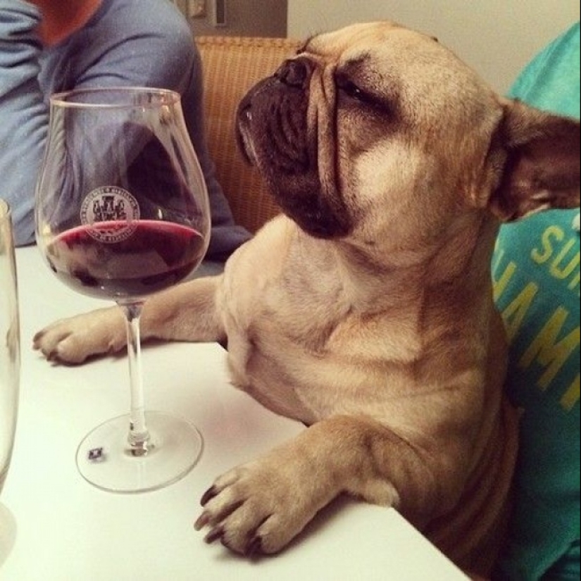 "Sex is overrated, hangover is flour": 10 signs of an old man "Sex is overrated, hangover is flour": 10 signs of an old man