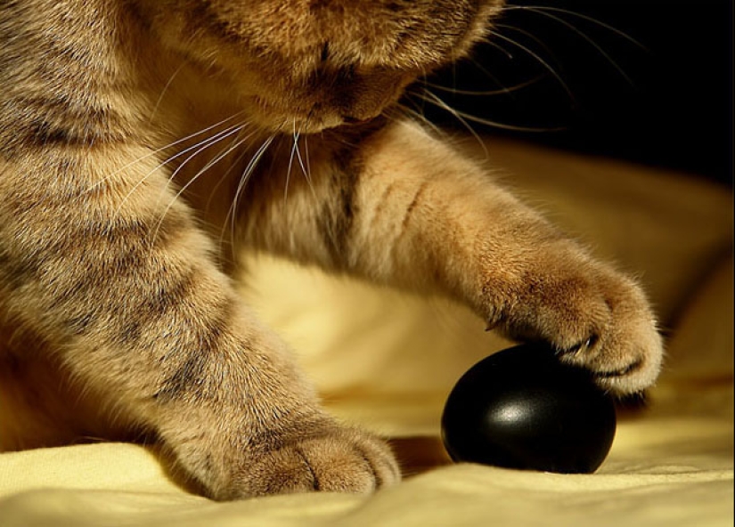 "Sex is overrated, hangover is flour": 10 signs of an old man "Sex is overrated, hangover is flour": 10 signs of an old man