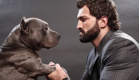 Shave immediately! According to scientific research, there are more microbes in a man's beard than in the hair of dogs Shave immediately! According to scientific research, there are more microbes in a man's beard than in the hair of dogs