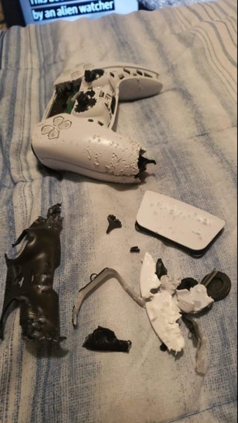 Shit happens: 22 photos filled with pain and disappointment Shit happens: 22 photos filled with pain and disappointment