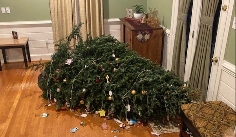 Shit happens: 22 photos filled with pain and disappointment Shit happens: 22 photos filled with pain and disappointment