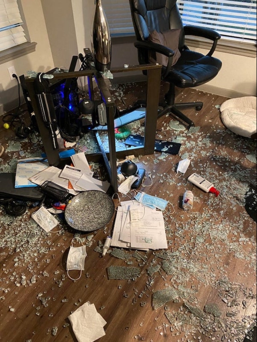 Shit happens: 22 photos filled with pain and disappointment Shit happens: 22 photos filled with pain and disappointment