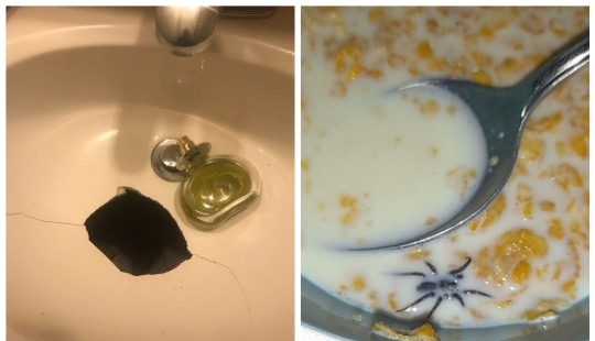Shit happens: 22 photos filled with pain and disappointment Shit happens: 22 photos filled with pain and disappointment