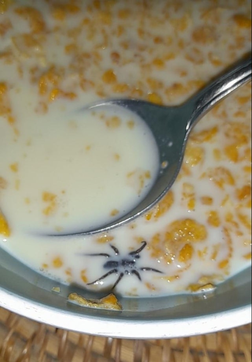 Shit happens: 22 photos filled with pain and disappointment Shit happens: 22 photos filled with pain and disappointment