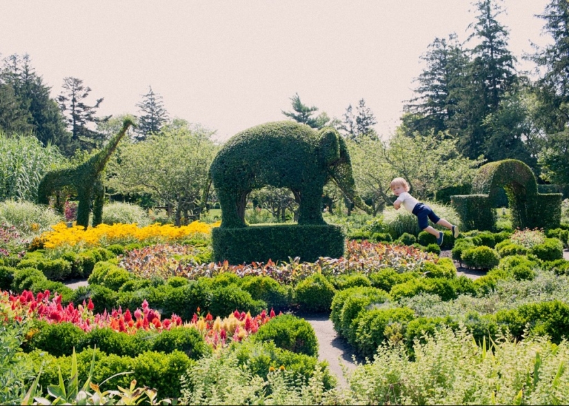 Si los niños volaron: serie de fotos positivas de una aburrida Rachel Gulin en licencia de maternidad Si los niños volaron: serie de fotos positivas de una aburrida Rachel Gulin en licencia de maternidad