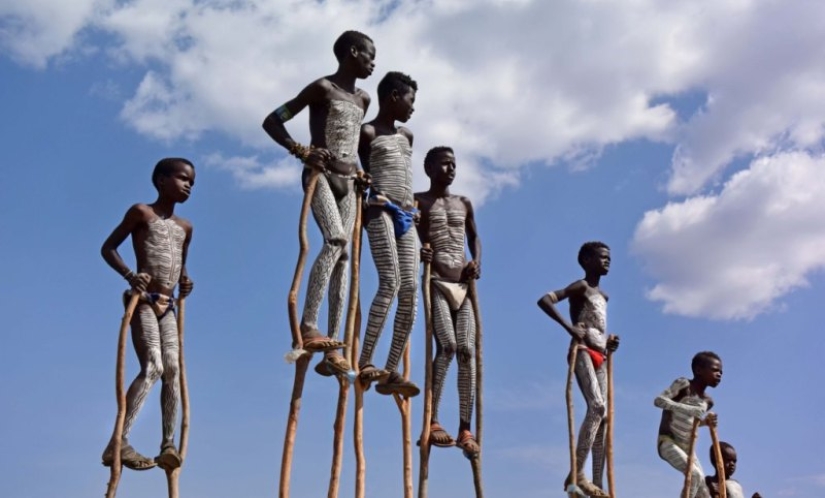 Siempre en la cima: por qué los hombres Banna prefieren caminar sobre zancos Siempre en la cima: por qué los hombres Banna prefieren caminar sobre zancos