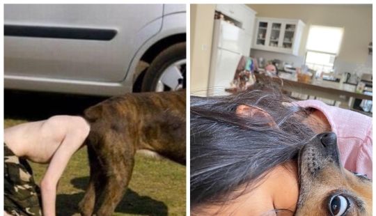 Simplemente parecía: 22 fotos que tendrá que mirar varias veces