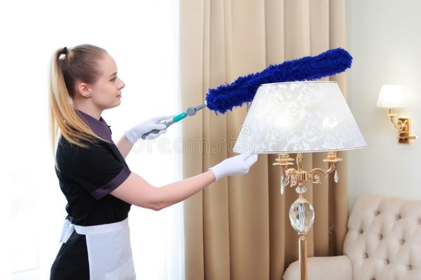 Sin ruido y polvo: Trucos de vida de un experto en limpieza sobre cómo lidiar con desechos pequeños Sin ruido y polvo: Trucos de vida de un experto en limpieza sobre cómo lidiar con desechos pequeños