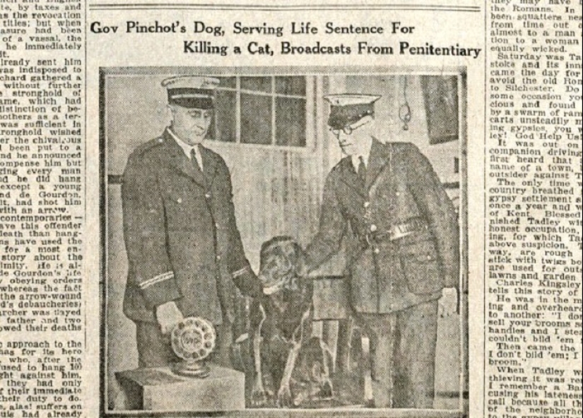 Sit down! The story of the dog Pep, who received a life sentence because of a fake accusation Sit down! The story of the dog Pep, who received a life sentence because of a fake accusation