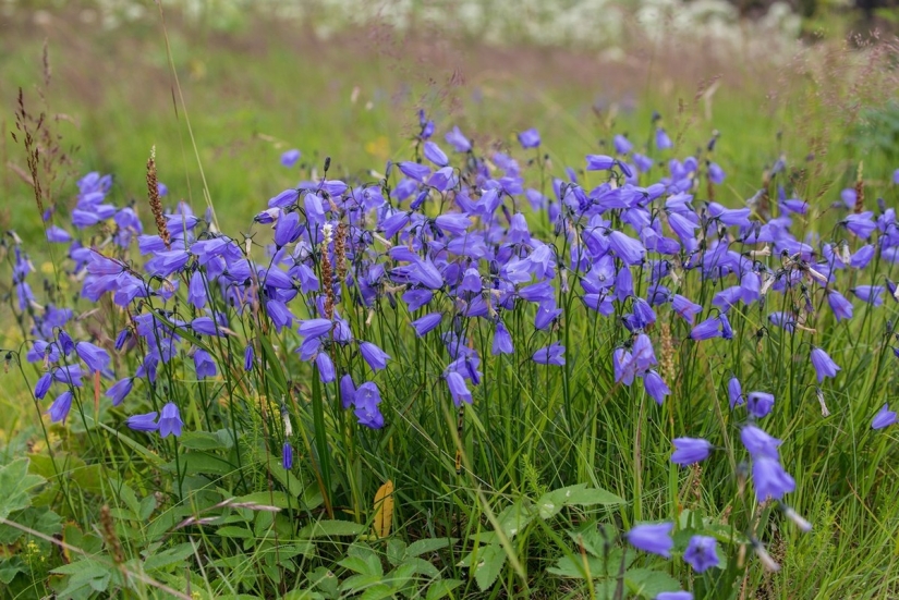 Skaftafetl. La belleza áspera de Islandia