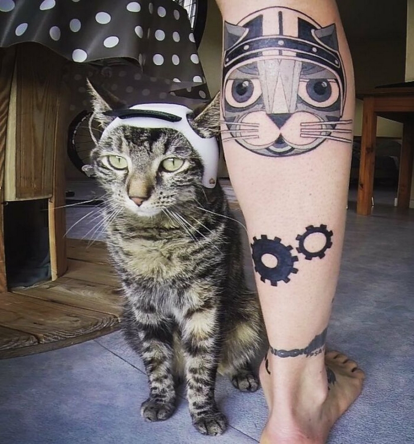 Skiing, surfing, parachuting: the cat from Instagram lives a hundred times more interesting than you