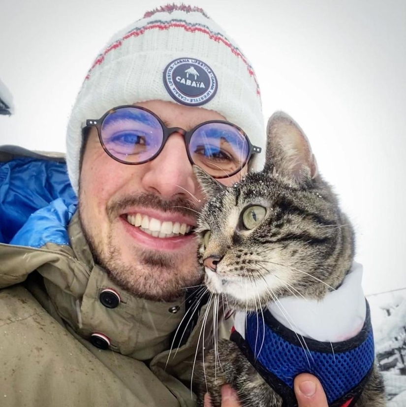 Skiing, surfing, parachuting: the cat from Instagram lives a hundred times more interesting than you