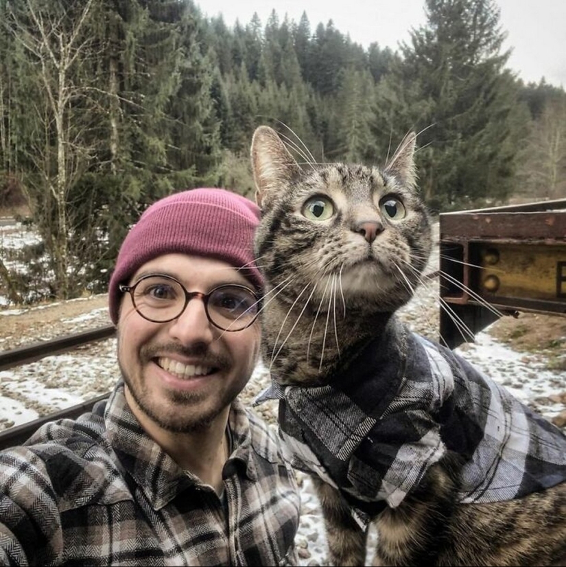 Skiing, surfing, parachuting: the cat from Instagram lives a hundred times more interesting than you