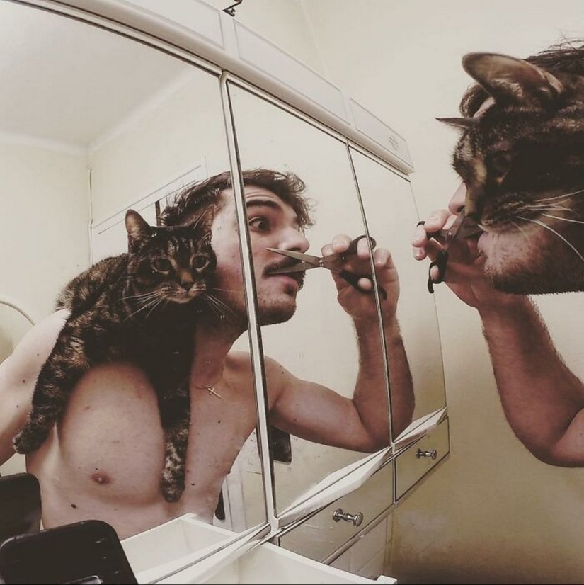 Skiing, surfing, parachuting: the cat from Instagram lives a hundred times more interesting than you