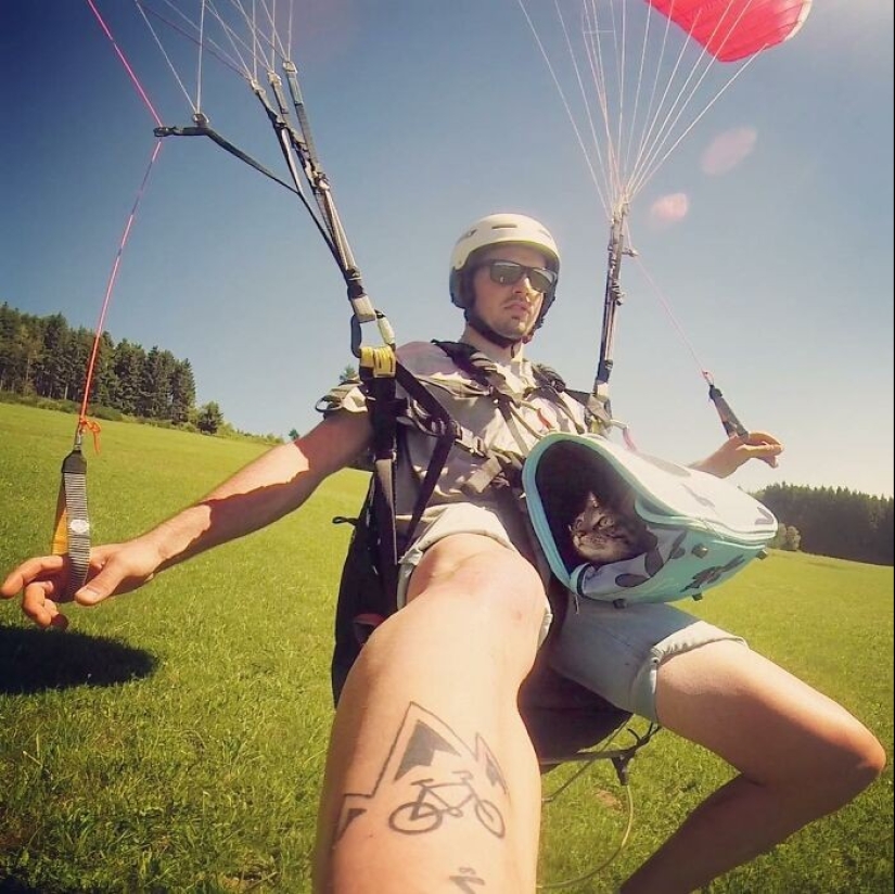 Skiing, surfing, parachuting: the cat from Instagram lives a hundred times more interesting than you