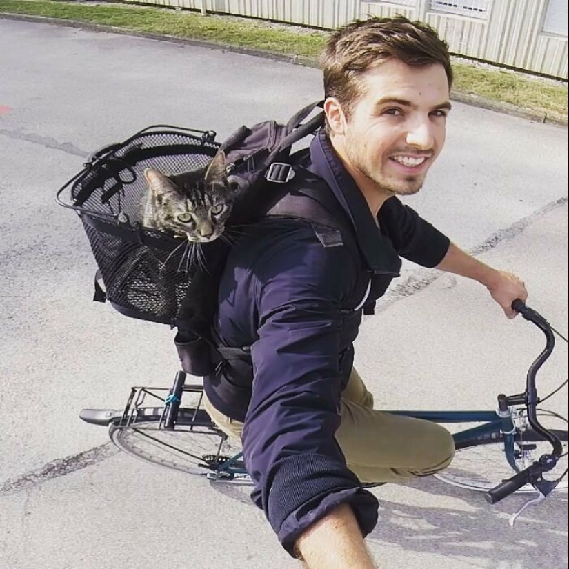 Skiing, surfing, parachuting: the cat from Instagram lives a hundred times more interesting than you